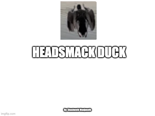 Headsmack Duck | HEADSMACK DUCK; By: Shashwath Manjunath | image tagged in duck,smack,head,shit | made w/ Imgflip meme maker