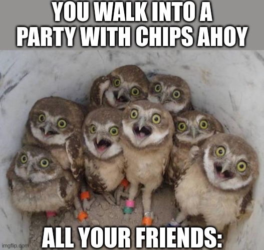 Excited Owls | YOU WALK INTO A PARTY WITH CHIPS AHOY; ALL YOUR FRIENDS: | image tagged in excited owls | made w/ Imgflip meme maker