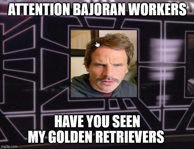 ATTENTION BAJORAN WORKERS | ATTENTION BAJORAN WORKERS; HAVE YOU SEEN MY GOLDEN RETRIEVERS | image tagged in attention bajoran workers | made w/ Imgflip meme maker