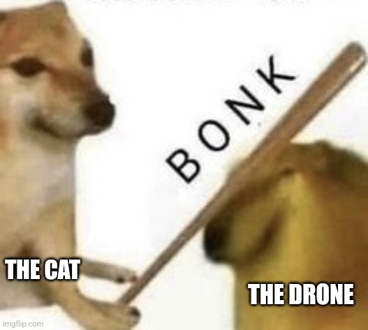 Bonk | THE CAT THE DRONE | image tagged in bonk | made w/ Imgflip meme maker