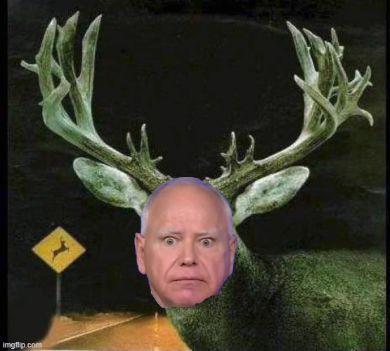 DEER IN THE HEADLIGHTS | image tagged in deer in the headlights,walz,debate,election | made w/ Imgflip meme maker