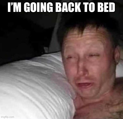 Sleepy guy | I’M GOING BACK TO BED | image tagged in sleepy guy | made w/ Imgflip meme maker