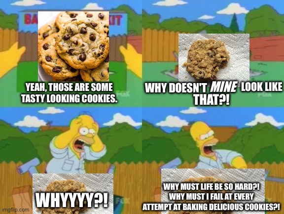 Baking good cookies be like | LOOK LIKE; MINE; YEAH, THOSE ARE SOME TASTY LOOKING COOKIES. WHY DOESN'T; THAT?! WHY MUST LIFE BE SO HARD?! WHY MUST I FAIL AT EVERY ATTEMPT AT BAKING DELICIOUS COOKIES?! WHYYYY?! | image tagged in why doesn't mine look like that | made w/ Imgflip meme maker