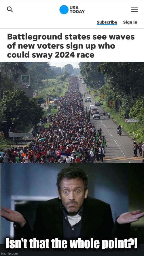 Isn't that the whole point?! | image tagged in migrant caravan,shrug,memes,democrats,voters,illegal immigrants | made w/ Imgflip meme maker