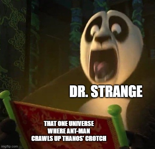 "yes, there definitely 1 trillion percent is only a 1 in 16,000,605 scenario" | DR. STRANGE; THAT ONE UNIVERSE WHERE ANT-MAN CRAWLS UP THANOS' CROTCH | image tagged in if the dragon scroll wasn't blank | made w/ Imgflip meme maker