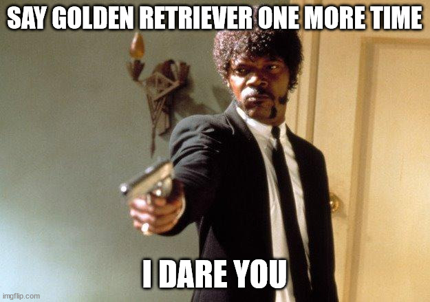 Say What One More Time | SAY GOLDEN RETRIEVER ONE MORE TIME; I DARE YOU | image tagged in say what one more time | made w/ Imgflip meme maker