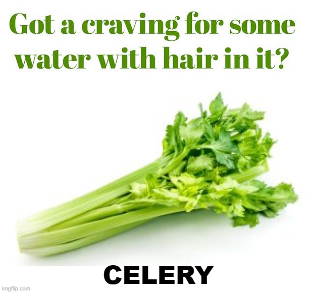 I hate the stuff | CELERY | image tagged in allcrunchnoflavor | made w/ Imgflip meme maker