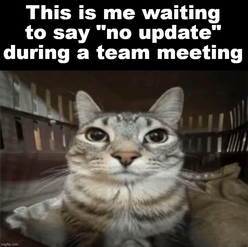 I hate team meetings | This is me waiting to say "no update" during a team meeting | image tagged in meeting | made w/ Imgflip meme maker