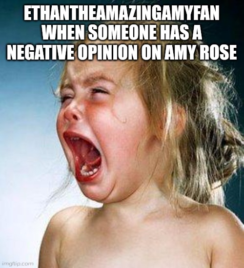 crying girl | ETHANTHEAMAZINGAMYFAN WHEN SOMEONE HAS A NEGATIVE OPINION ON AMY ROSE | image tagged in crying girl | made w/ Imgflip meme maker