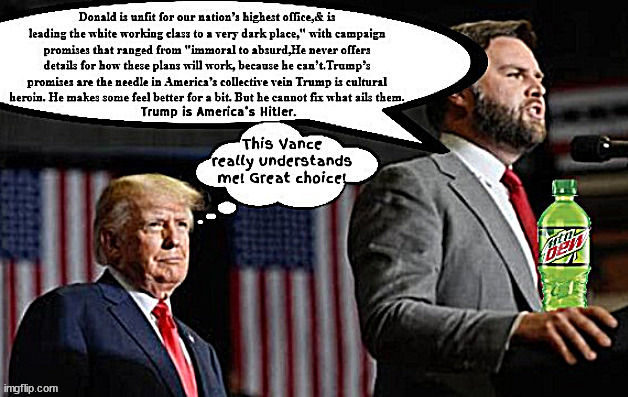 JD critiques the Tangerine candidate | image tagged in jd critiques the tangerine candidate,adolf hitler did good things,maga master debater,america's hitler,furniture fornicator,meow | made w/ Imgflip meme maker