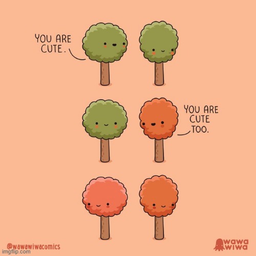 image tagged in trees,blush,blushing,autumn | made w/ Imgflip meme maker