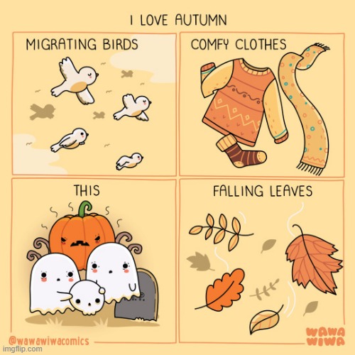 image tagged in autumn,birds,clothes,this,halloween,autumn leaves | made w/ Imgflip meme maker