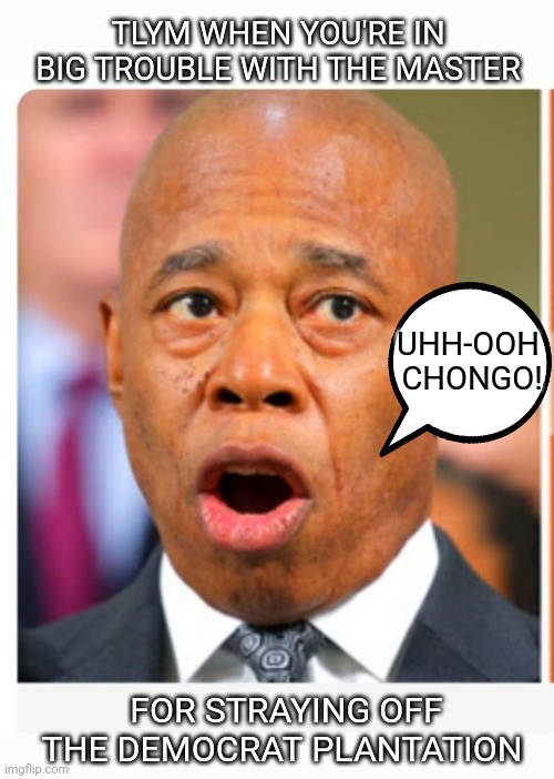 The Master won't like this | TLYM WHEN YOU'RE IN BIG TROUBLE WITH THE MASTER; UHH-OOH  CHONGO! FOR STRAYING OFF THE DEMOCRAT PLANTATION | image tagged in libtard,morons,losers | made w/ Imgflip meme maker