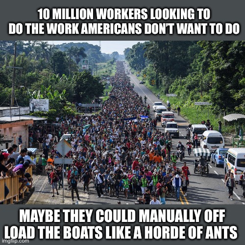 immigrant caravan | 10 MILLION WORKERS LOOKING TO DO THE WORK AMERICANS DON’T WANT TO DO MAYBE THEY COULD MANUALLY OFF LOAD THE BOATS LIKE A HORDE OF ANTS | image tagged in immigrant caravan | made w/ Imgflip meme maker