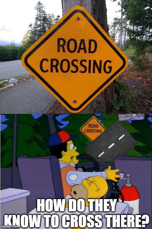 How do they know to cross there? | HOW DO THEY KNOW TO CROSS THERE? | image tagged in the simpsons,road,crossing | made w/ Imgflip meme maker