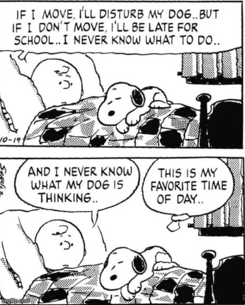 Snoopy | image tagged in snoopy,dog | made w/ Imgflip meme maker