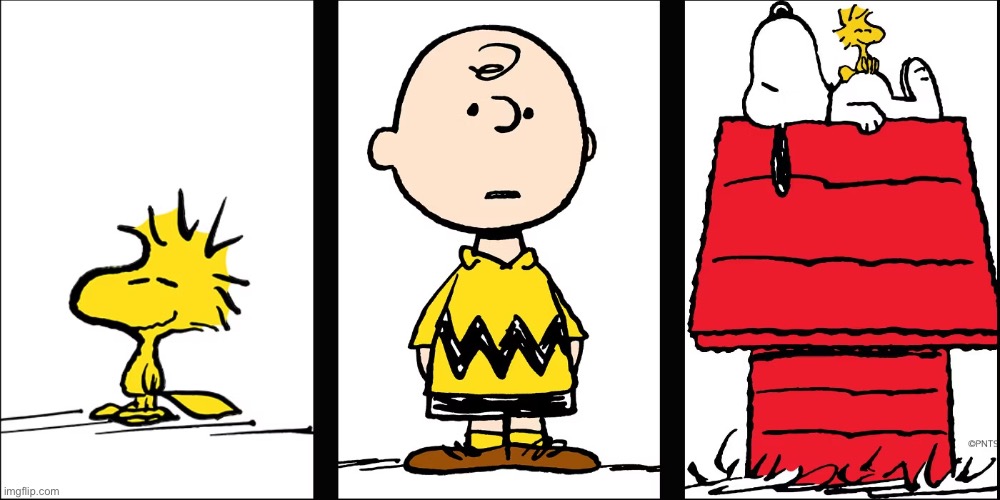 Peanuts | image tagged in peanuts,charlie brown,snoopy,woodstock | made w/ Imgflip meme maker