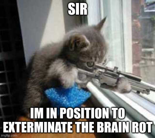 CatSniper | SIR IM IN POSITION TO EXTERMINATE THE BRAIN ROT | image tagged in catsniper | made w/ Imgflip meme maker