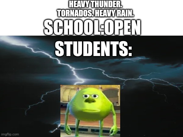 I swear schools dont care if theres tornados outside | HEAVY THUNDER. TORNADOS. HEAVY RAIN. SCHOOL:OPEN; STUDENTS: | image tagged in school | made w/ Imgflip meme maker