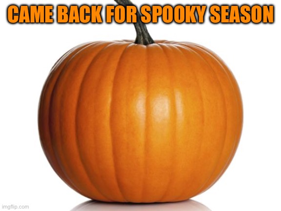 pumpkin | CAME BACK FOR SPOOKY SEASON | image tagged in pumpkin | made w/ Imgflip meme maker