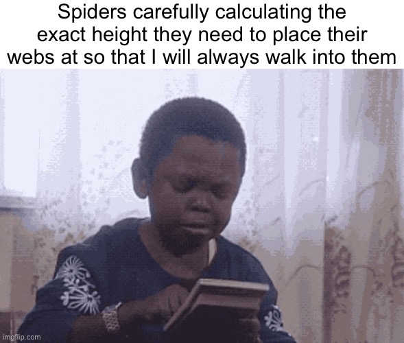 it has happened so many times that my head went directly into one, like, spiderbros what did i do to you | Spiders carefully calculating the exact height they need to place their webs at so that I will always walk into them | image tagged in calculator kid,spider,spiders,spider web,memes,relatable | made w/ Imgflip meme maker