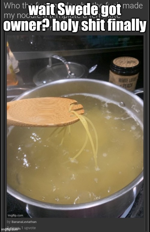 who the fuck made who the fuck made my noodle a template a templ | wait Swede got owner? holy shit finally | image tagged in who the fuck made who the fuck made my noodle a template a templ | made w/ Imgflip meme maker