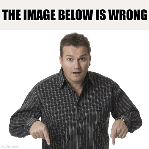 No sandwhich | THE IMAGE BELOW IS WRONG | image tagged in pointing down disbelief | made w/ Imgflip meme maker