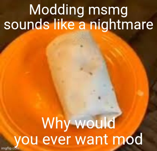 JimmyHere Burrito | Modding msmg sounds like a nightmare; Why would you ever want mod | image tagged in jimmyhere burrito | made w/ Imgflip meme maker