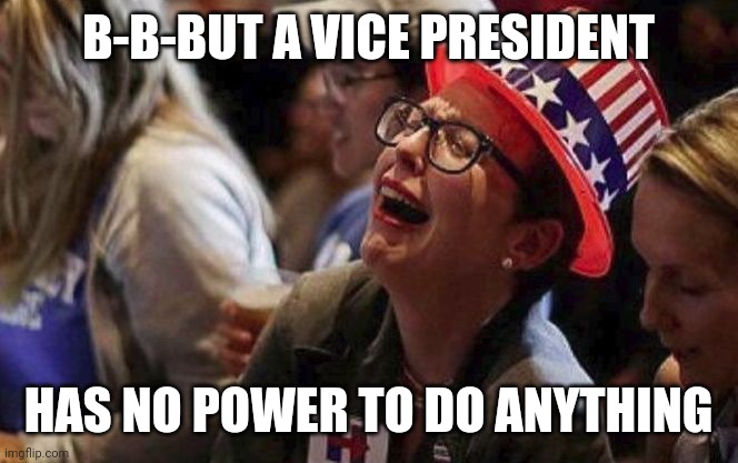 Crying Liberal | B-B-BUT A VICE PRESIDENT HAS NO POWER TO DO ANYTHING | image tagged in crying liberal | made w/ Imgflip meme maker