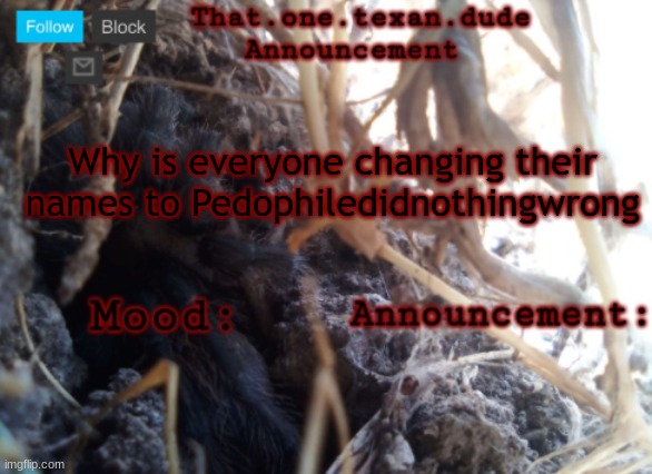 THE that.one.texan.dude announcement template | Why is everyone changing their names to Pedophiledidnothingwrong | image tagged in the that one texan dude announcement template | made w/ Imgflip meme maker