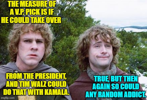 Inspired by a quote segment from our very own conservative BurntFingerForge. | THE MEASURE OF A V.P. PICK IS IF HE COULD TAKE OVER; FROM THE PRESIDENT, AND TIM WALZ COULD DO THAT WITH KAMALA. TRUE, BUT THEN AGAIN SO COULD ANY RANDOM ADDICT. | image tagged in yep | made w/ Imgflip meme maker