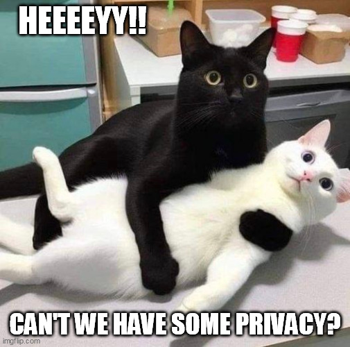 Get out!!! | HEEEEYY!! CAN'T WE HAVE SOME PRIVACY? | image tagged in privacy,leave me alone | made w/ Imgflip meme maker