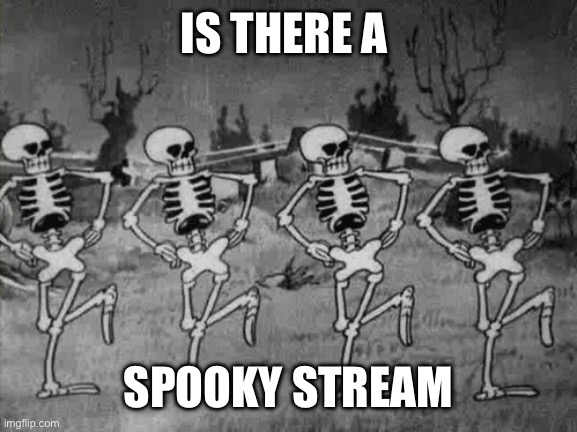 Is there one? | IS THERE A; SPOOKY STREAM | image tagged in spooky scary skeletons,spooky,spooky month,streams,halloween,rattled | made w/ Imgflip meme maker