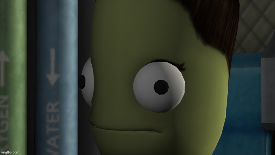 Kerbal Space bruh face | image tagged in kerbal space bruh face | made w/ Imgflip meme maker