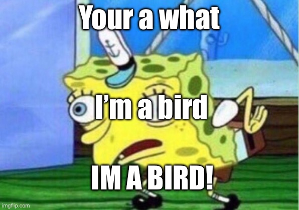 Mocking Spongebob Meme | Your a what; I’m a bird; IM A BIRD! | image tagged in memes,mocking spongebob | made w/ Imgflip meme maker