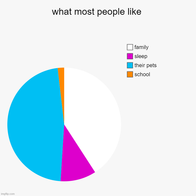 what most people like | school, their pets, sleep, family | image tagged in charts,pie charts | made w/ Imgflip chart maker