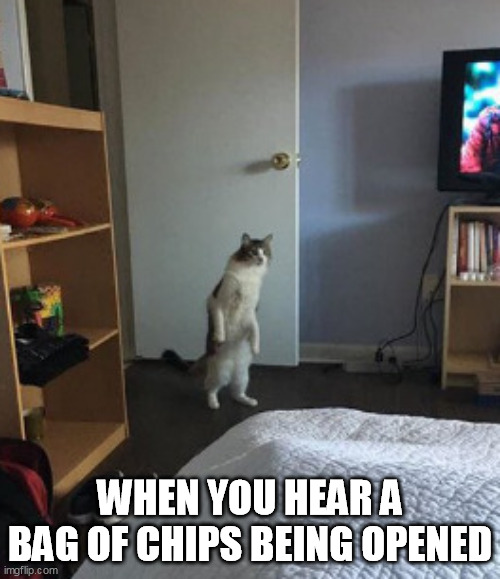 WHEN YOU HEAR A BAG OF CHIPS BEING OPENED | image tagged in chips,sound | made w/ Imgflip meme maker