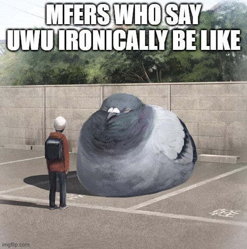 Beeg Birb | MFERS WHO SAY UWU IRONICALLY BE LIKE | image tagged in beeg birb | made w/ Imgflip meme maker