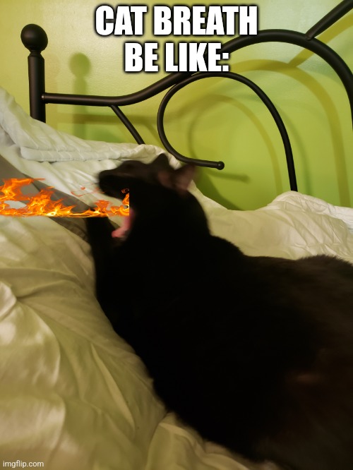 It's funny because cat breath smells bad | CAT BREATH BE LIKE: | image tagged in the yawn of cat | made w/ Imgflip meme maker