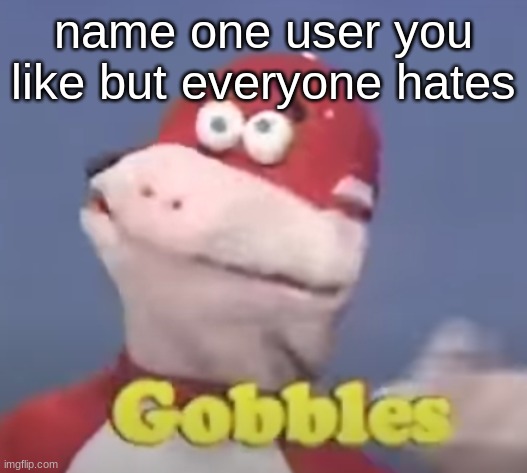 gobbles | name one user you like but everyone hates | image tagged in gobbles | made w/ Imgflip meme maker