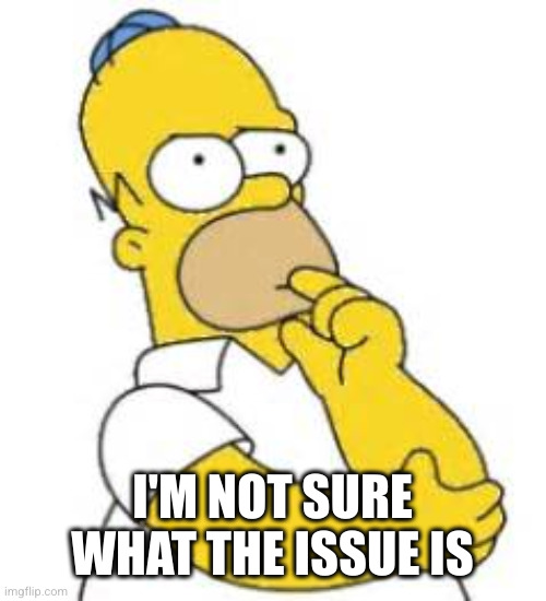 Homer Simpson Hmmmm | I'M NOT SURE WHAT THE ISSUE IS | image tagged in homer simpson hmmmm | made w/ Imgflip meme maker