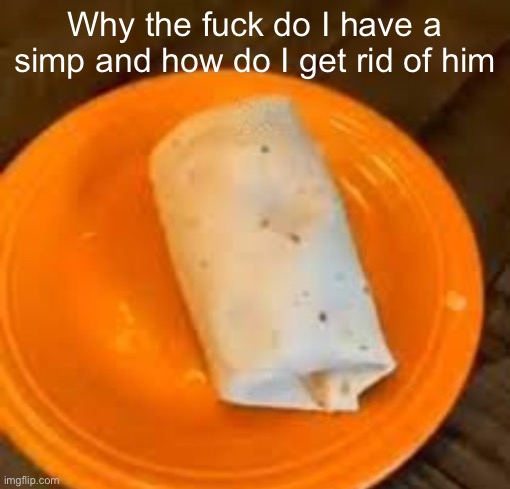 JimmyHere Burrito | Why the fuck do I have a simp and how do I get rid of him | image tagged in jimmyhere burrito | made w/ Imgflip meme maker