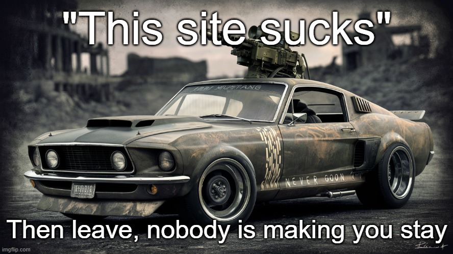 Sick ass Ford Mustang | "This site sucks"; Then leave, nobody is making you stay | image tagged in sick ass ford mustang | made w/ Imgflip meme maker