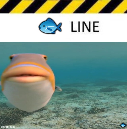 🐟 | made w/ Imgflip meme maker