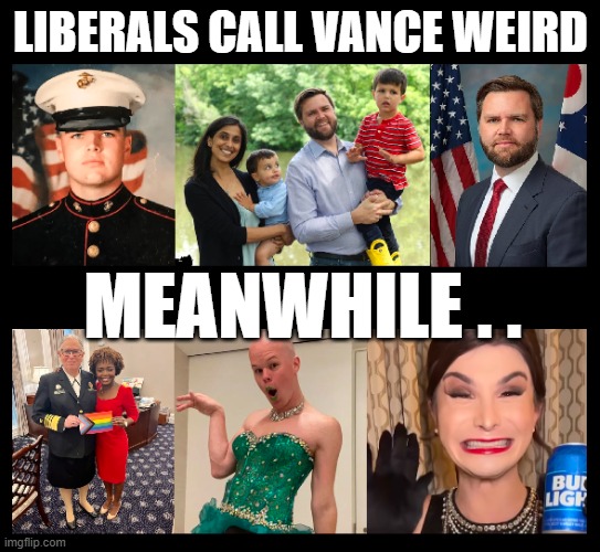 weird | LIBERALS CALL VANCE WEIRD; MEANWHILE . . | made w/ Imgflip meme maker