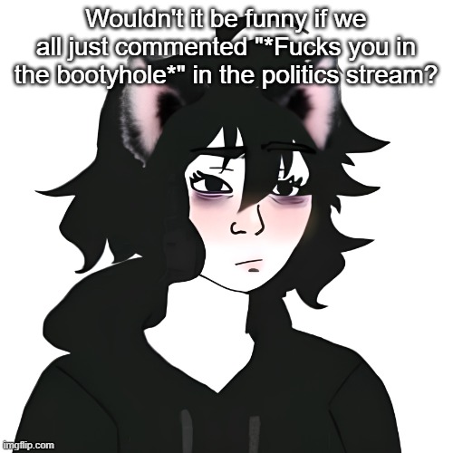 Catgirl wojak | Wouldn't it be funny if we all just commented "*Fucks you in the bootyhole*" in the politics stream? | image tagged in catgirl wojak | made w/ Imgflip meme maker