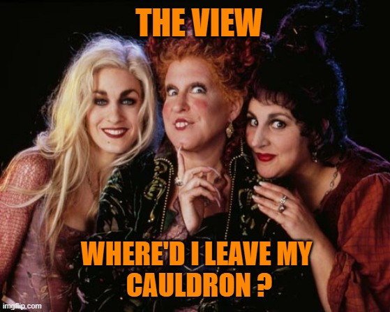 Hocus Pocus and Chill | WHERE'D I LEAVE MY 
CAULDRON ? THE VIEW | image tagged in hocus pocus and chill | made w/ Imgflip meme maker