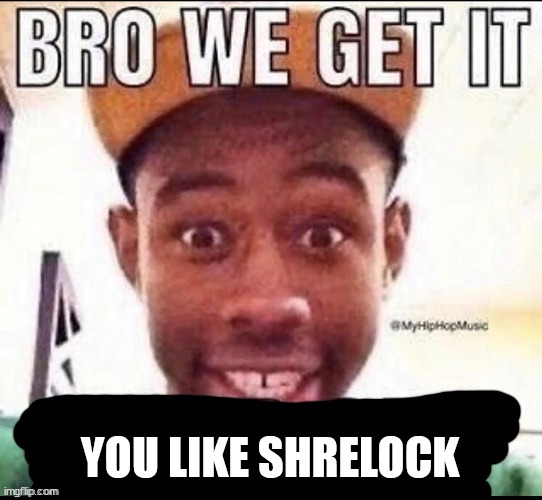 Bro we get it (blank) | YOU LIKE SHRELOCK | image tagged in bro we get it blank | made w/ Imgflip meme maker