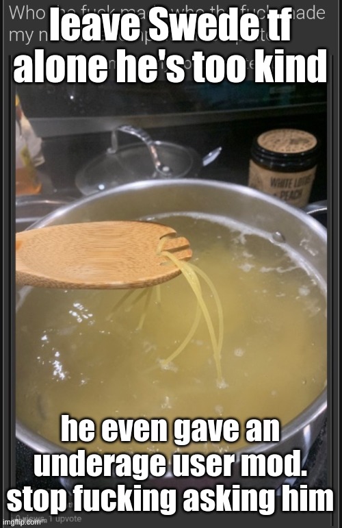 who the fuck made who the fuck made my noodle a template a templ | leave Swede tf alone he's too kind; he even gave an underage user mod. stop fucking asking him | image tagged in who the fuck made who the fuck made my noodle a template a templ | made w/ Imgflip meme maker