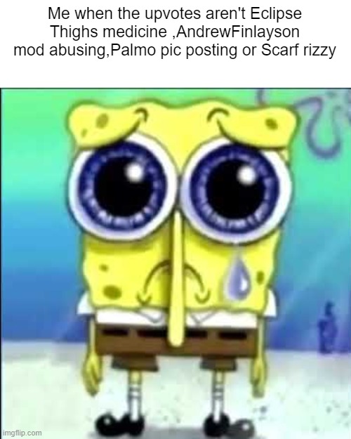 MSMG brainrot | Me when the upvotes aren't Eclipse Thighs medicine ,AndrewFinlayson mod abusing,Palmo pic posting or Scarf rizzy | image tagged in sad spongebob | made w/ Imgflip meme maker